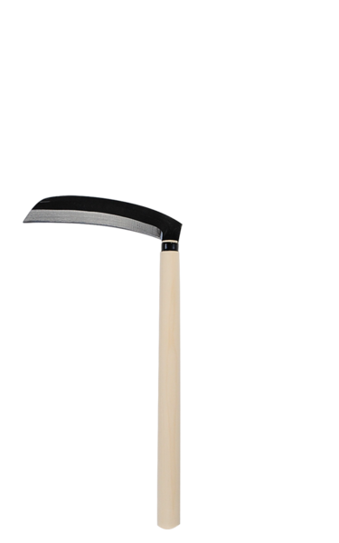 kku-1811.png